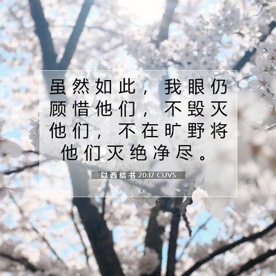 Picture 07 - 以 西 结 书 20:17 CUVS - 虽 然 如 此 ， 我 眼 仍 顾 惜 他 们 - Bible Verse Picture