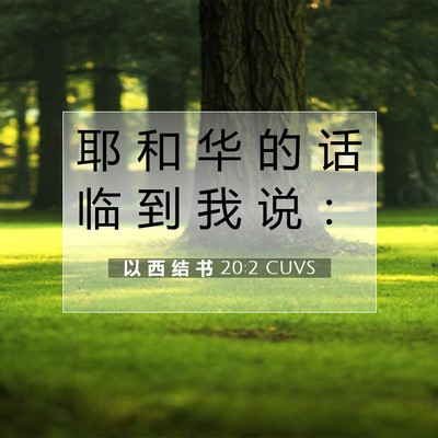 Picture 07 - 以 西 结 书 20:2 CUVS - 耶 和 华 的 话 临 到 我 说 - Bible Verse Picture