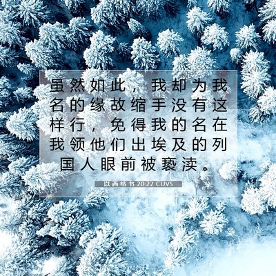 Picture 07 - 以 西 结 书 20:22 CUVS - 虽 然 如 此 ， 我 却 为 我 名 的 缘 - Bible Verse Picture