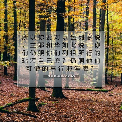Picture 07 - 以 西 结 书 20:30 CUVS - 所 以 你 要 对 以 色 列 家 说 ， 主 - Bible Verse Picture