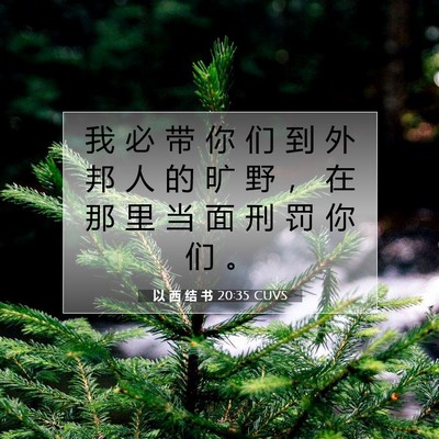 Picture 07 - 以 西 结 书 20:35 CUVS - 我 必 带 你 们 到 外 邦 人 的 旷 野 - Bible Verse Picture