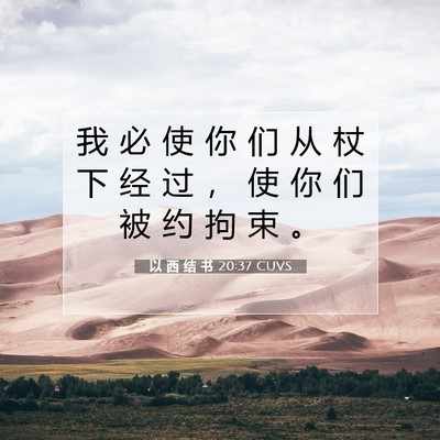 Picture 07 - 以 西 结 书 20:37 CUVS - 我 必 使 你 们 从 杖 下 经 过 ， 使 - Bible Verse Picture