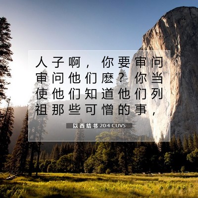 Picture 07 - 以 西 结 书 20:4 CUVS - 人 子 啊 ， 你 要 审 问 审 问 他 们 - Bible Verse Picture