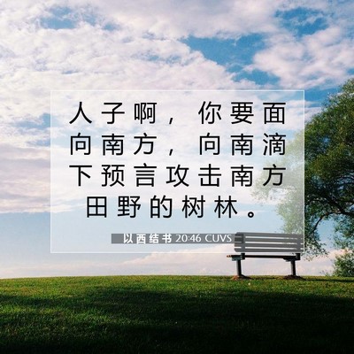 Picture 07 - 以 西 结 书 20:46 CUVS - 人 子 啊 ， 你 要 面 向 南 方 ， 向 - Bible Verse Picture