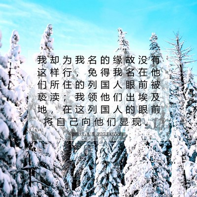 Picture 07 - 以 西 结 书 20:9 CUVS - 我 却 为 我 名 的 缘 故 没 有 这 样 - Bible Verse Picture