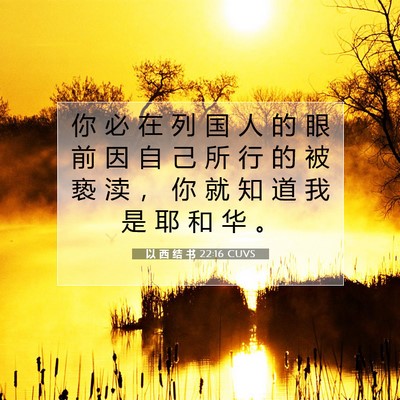Picture 07 - 以 西 结 书 22:16 CUVS - 你 必 在 列 国 人 的 眼 前 因 自 己 - Bible Verse Picture