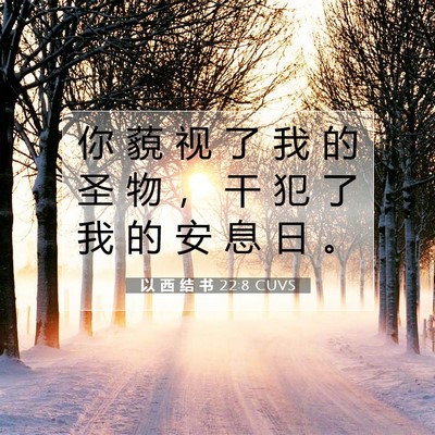 Picture 07 - 以 西 结 书 22:8 CUVS - 你 藐 视 了 我 的 圣 物 ， 干 犯 了 - Bible Verse Picture