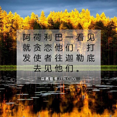 Picture 07 - 以 西 结 书 23:16 CUVS - 阿 荷 利 巴 一 看 见 就 贪 恋 他 们 - Bible Verse Picture
