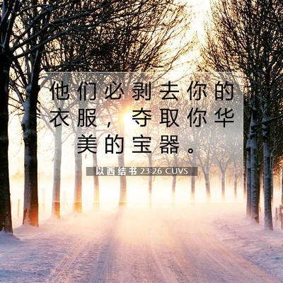 Picture 07 - 以 西 结 书 23:26 CUVS - 他 们 必 剥 去 你 的 衣 服 ， 夺 取 - Bible Verse Picture