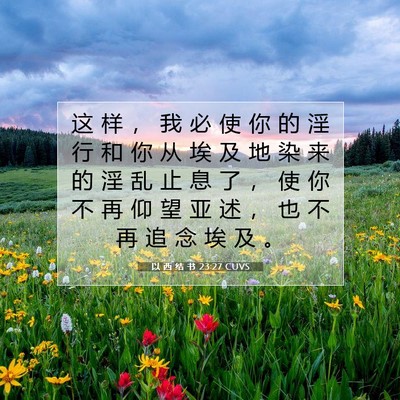 Picture 07 - 以 西 结 书 23:27 CUVS - 这 样 ， 我 必 使 你 的 淫 行 和 你 - Bible Verse Picture