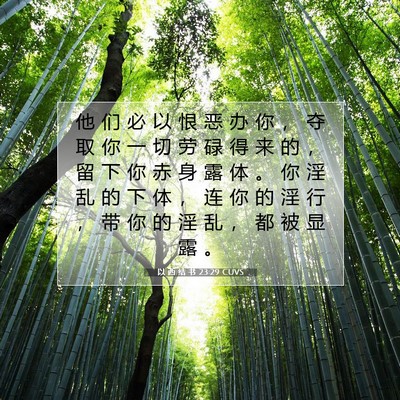 Picture 07 - 以 西 结 书 23:29 CUVS - 他 们 必 以 恨 恶 办 你 ， 夺 取 你 - Bible Verse Picture