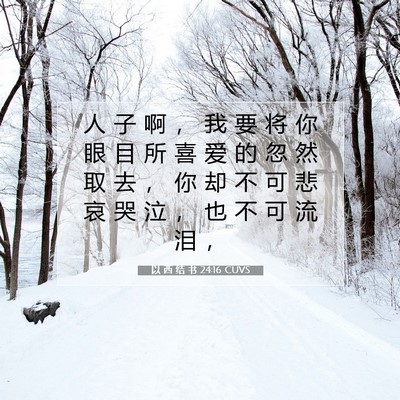 Picture 07 - 以 西 结 书 24:16 CUVS - 人 子 啊 ， 我 要 将 你 眼 目 所 喜 - Bible Verse Picture