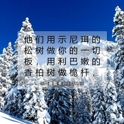 Picture 07 - 以 西 结 书 27:5 CUVS - 他 们 用 示 尼 珥 的 松 树 做 你 的 - Bible Verse Picture