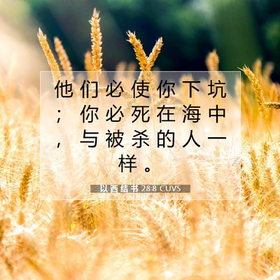 Picture 07 - 以 西 结 书 28:8 CUVS - 他 们 必 使 你 下 坑 ； 你 必 死 在 - Bible Verse Picture