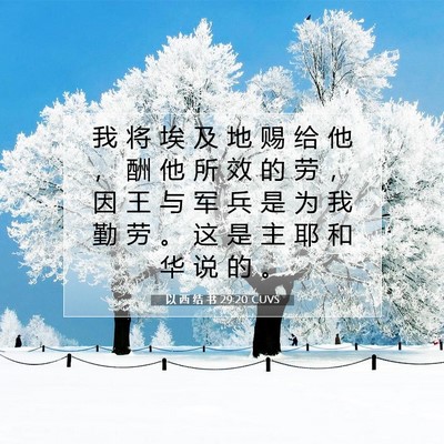Picture 07 - 以 西 结 书 29:20 CUVS - 我 将 埃 及 地 赐 给 他 ， 酬 他 所 - Bible Verse Picture