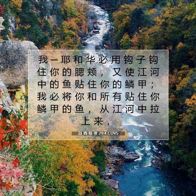 Picture 07 - 以 西 结 书 29:4 CUVS - 我 ─ 耶 和 华 必 用 钩 子 钩 住 你 - Bible Verse Picture