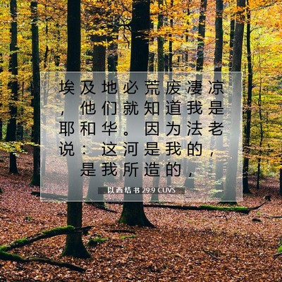 Picture 07 - 以 西 结 书 29:9 CUVS - 埃 及 地 必 荒 废 凄 凉 ， 他 们 就 - Bible Verse Picture
