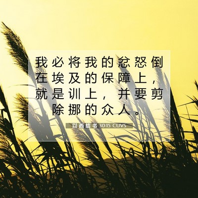 Picture 07 - 以 西 结 书 30:15 CUVS - 我 必 将 我 的 忿 怒 倒 在 埃 及 的 - Bible Verse Picture