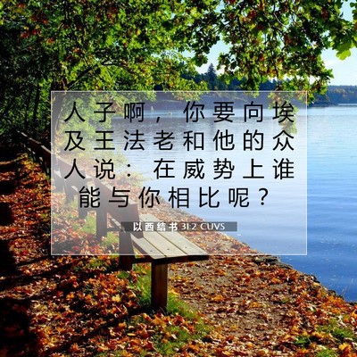 Picture 07 - 以 西 结 书 31:2 CUVS - 人 子 啊 ， 你 要 向 埃 及 王 法 老 - Bible Verse Picture
