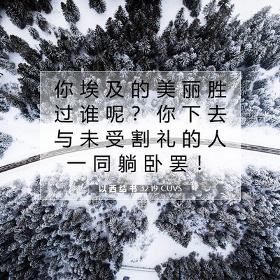 Picture 07 - 以 西 结 书 32:19 CUVS - 你 埃 及 的 美 丽 胜 过 谁 呢 ？ 你 - Bible Verse Picture