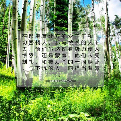 Picture 07 - 以 西 结 书 32:30 CUVS - 在 那 里 有 北 方 的 众 王 子 和 一 - Bible Verse Picture