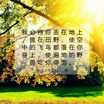 Picture 07 - 以 西 结 书 32:4 CUVS - 我 必 将 你 丢 在 地 上 ， 抛 在 田 - Bible Verse Picture