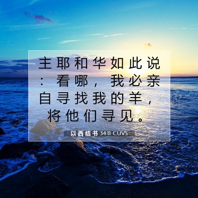 Picture 07 - 以 西 结 书 34:11 CUVS - 主 耶 和 华 如 此 说 ： 看 哪 ， 我 - Bible Verse Picture