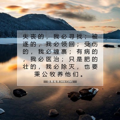 Picture 07 - 以 西 结 书 34:16 CUVS - 失 丧 的 ， 我 必 寻 找 ； 被 逐 的 - Bible Verse Picture