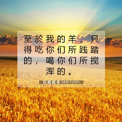 Picture 07 - 以 西 结 书 34:19 CUVS - 至 於 我 的 羊 ， 只 得 吃 你 们 所 - Bible Verse Picture