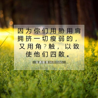 Picture 07 - 以 西 结 书 34:21 CUVS - 因 为 你 们 用 胁 用 肩 拥 挤 一 切 - Bible Verse Picture