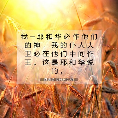 Picture 07 - 以 西 结 书 34:24 CUVS - 我 ─ 耶 和 华 必 作 他 们 的 神 ， - Bible Verse Picture