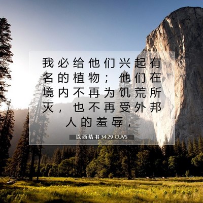 Picture 07 - 以 西 结 书 34:29 CUVS - 我 必 给 他 们 兴 起 有 名 的 植 物 - Bible Verse Picture
