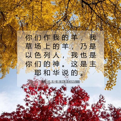 Picture 07 - 以 西 结 书 34:31 CUVS - 你 们 作 我 的 羊 ， 我 草 场 上 的 - Bible Verse Picture