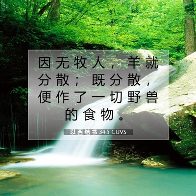 Picture 07 - 以 西 结 书 34:5 CUVS - 因 无 牧 人 ， 羊 就 分 散 ； 既 分 - Bible Verse Picture