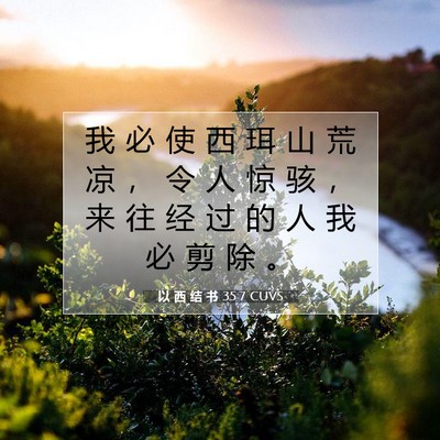 Picture 07 - 以 西 结 书 35:7 CUVS - 我 必 使 西 珥 山 荒 凉 ， 令 人 惊 - Bible Verse Picture