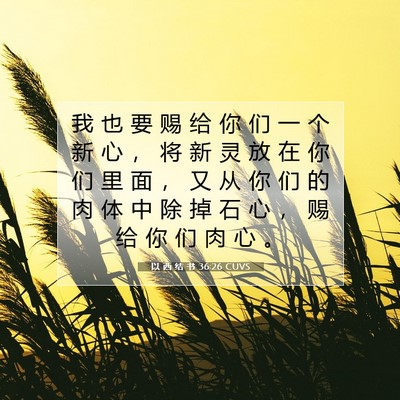 Picture 07 - 以 西 结 书 36:26 CUVS - 我 也 要 赐 给 你 们 一 个 新 心 ， - Bible Verse Picture