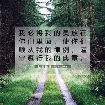 Picture 07 - 以 西 结 书 36:27 CUVS - 我 必 将 我 的 灵 放 在 你 们 里 面 - Bible Verse Picture