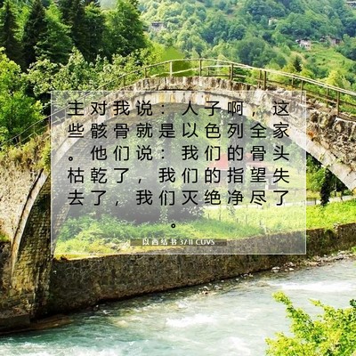 Picture 07 - 以 西 结 书 37:11 CUVS - 主 对 我 说 ： 人 子 啊 ， 这 些 骸 - Bible Verse Picture