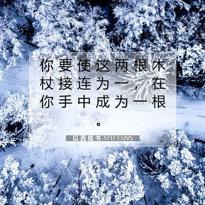 Picture 07 - 以 西 结 书 37:17 CUVS - 你 要 使 这 两 根 木 杖 接 连 为 一 - Bible Verse Picture