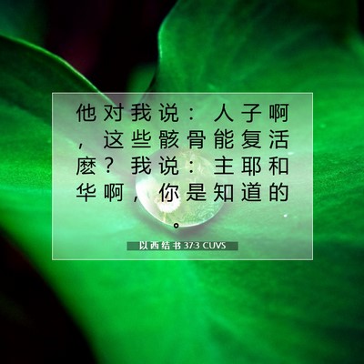 Picture 07 - 以 西 结 书 37:3 CUVS - 他 对 我 说 ： 人 子 啊 ， 这 些 骸 - Bible Verse Picture