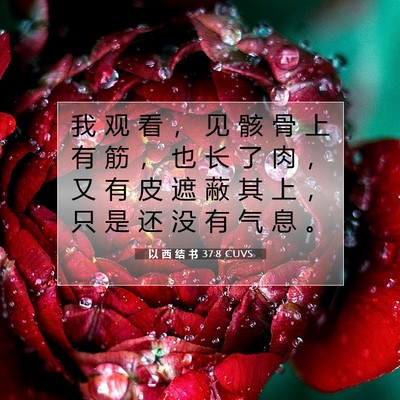 Picture 07 - 以 西 结 书 37:8 CUVS - 我 观 看 ， 见 骸 骨 上 有 筋 ， 也 - Bible Verse Picture