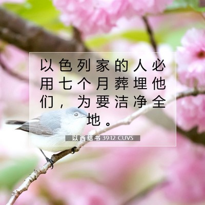 Picture 07 - 以 西 结 书 39:12 CUVS - 以 色 列 家 的 人 必 用 七 个 月 葬 - Bible Verse Picture