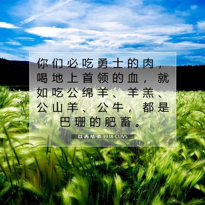 Picture 07 - 以 西 结 书 39:18 CUVS - 你 们 必 吃 勇 士 的 肉 ， 喝 地 上 - Bible Verse Picture