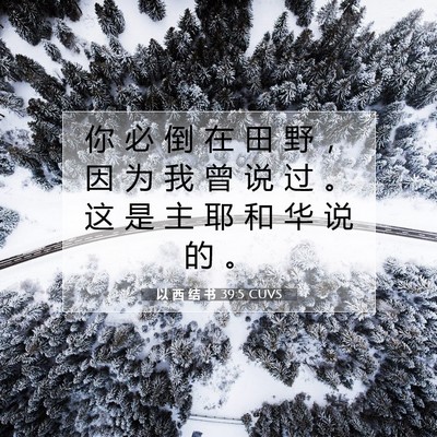 Picture 07 - 以 西 结 书 39:5 CUVS - 你 必 倒 在 田 野 ， 因 为 我 曾 说 - Bible Verse Picture