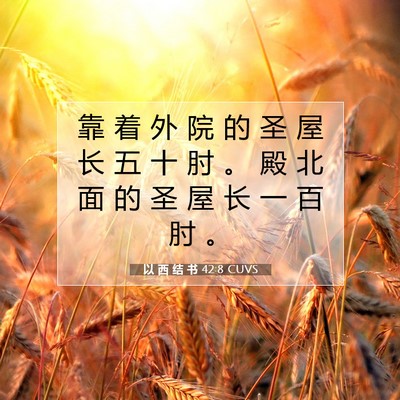 Picture 07 - 以 西 结 书 42:8 CUVS - 靠 着 外 院 的 圣 屋 长 五 十 肘 。 - Bible Verse Picture