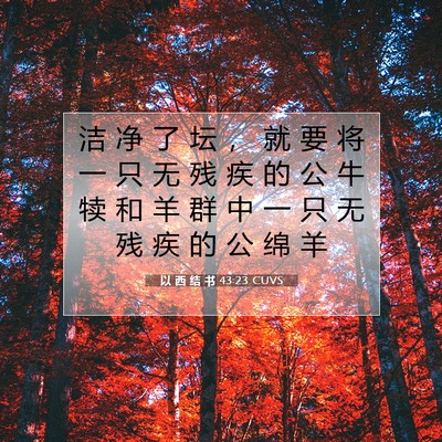 Picture 07 - 以 西 结 书 43:23 CUVS - 洁 净 了 坛 ， 就 要 将 一 只 无 残 - Bible Verse Picture