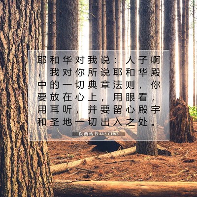 Picture 07 - 以 西 结 书 44:5 CUVS - 耶 和 华 对 我 说 ： 人 子 啊 ， 我 - Bible Verse Picture