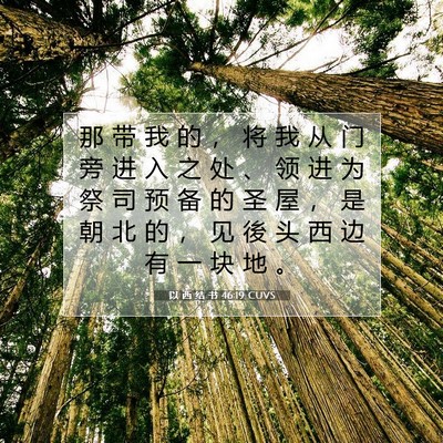 Picture 07 - 以 西 结 书 46:19 CUVS - 那 带 我 的 ， 将 我 从 门 旁 进 入 - Bible Verse Picture