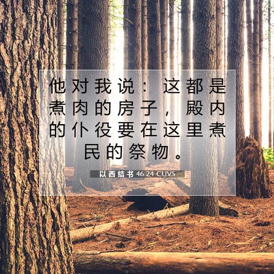 Picture 07 - 以 西 结 书 46:24 CUVS - 他 对 我 说 ： 这 都 是 煮 肉 的 房 - Bible Verse Picture