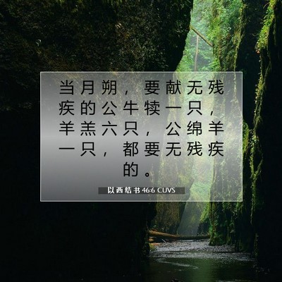 Picture 07 - 以 西 结 书 46:6 CUVS - 当 月 朔 ， 要 献 无 残 疾 的 公 牛 - Bible Verse Picture